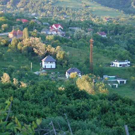 Cottage Poe Poienari 외부 사진