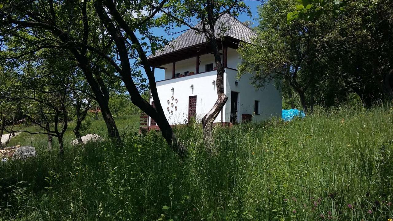 Cottage Poe Poienari 외부 사진