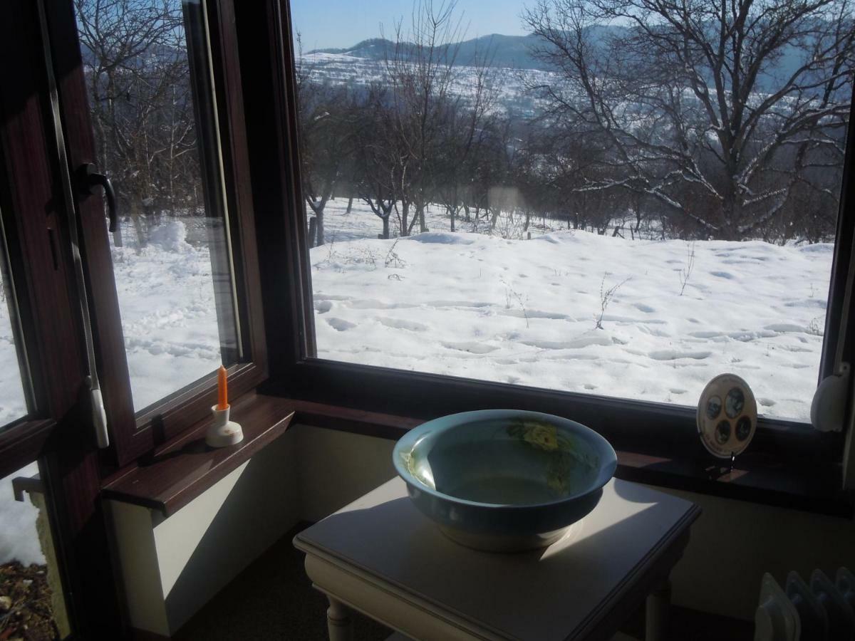 Cottage Poe Poienari 외부 사진