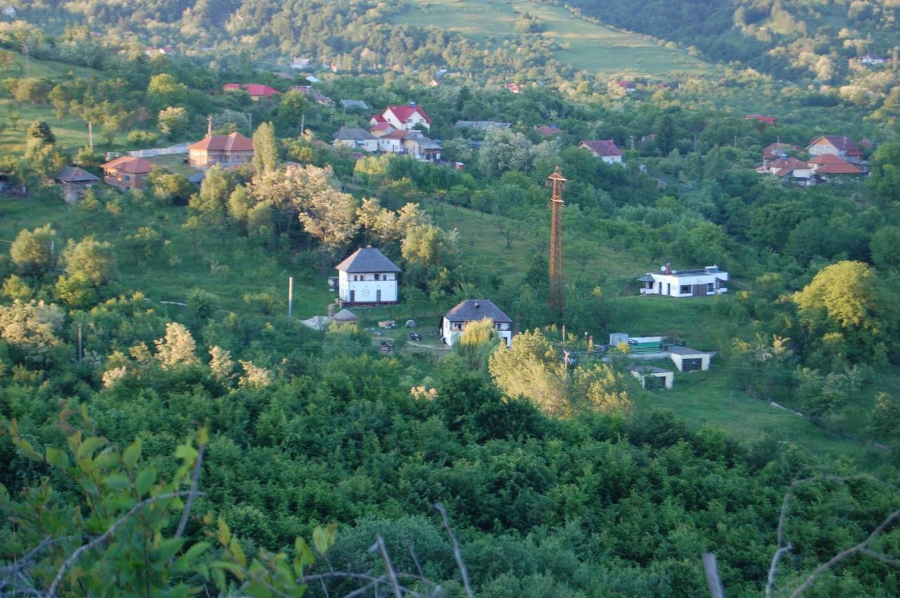 Cottage Poe Poienari 외부 사진