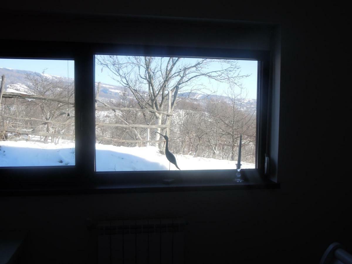 Cottage Poe Poienari 외부 사진