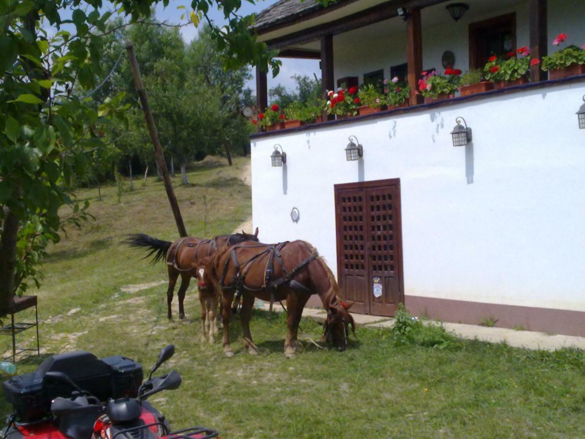 Cottage Poe Poienari 외부 사진