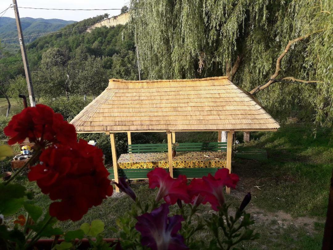 Cottage Poe Poienari 외부 사진
